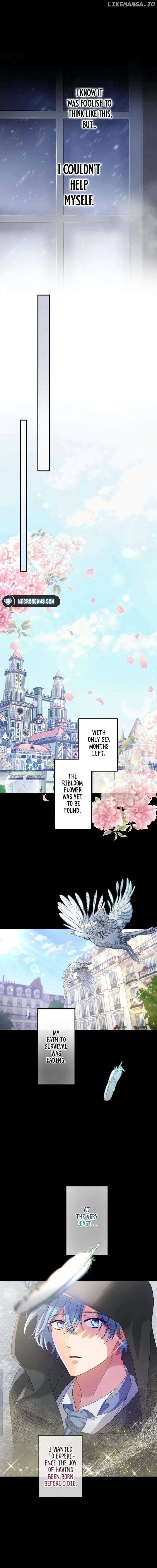 I Still Don’t Know About My Favourite Character’s Unwavering Obsession Chapter 10 page 11