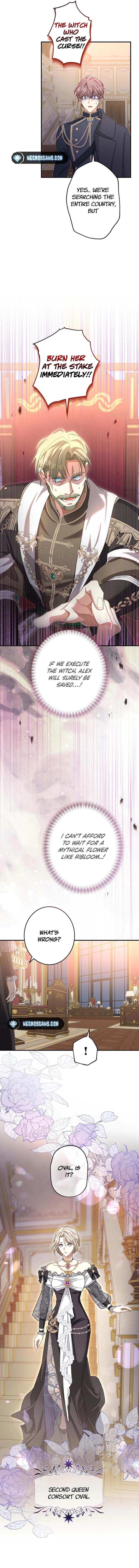 I Still Don’t Know About My Favourite Character’s Unwavering Obsession Chapter 19 page 14