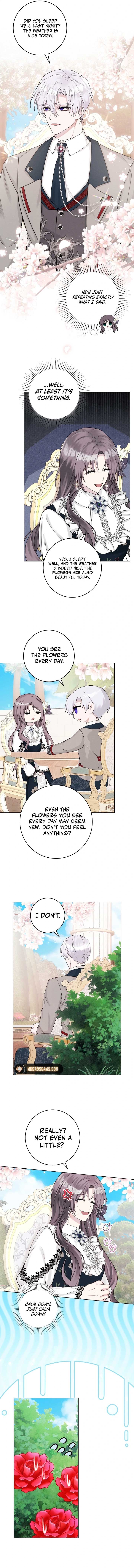 I Taught You with Restraint, So Why Are You Obsessed? Chapter 8 page 8