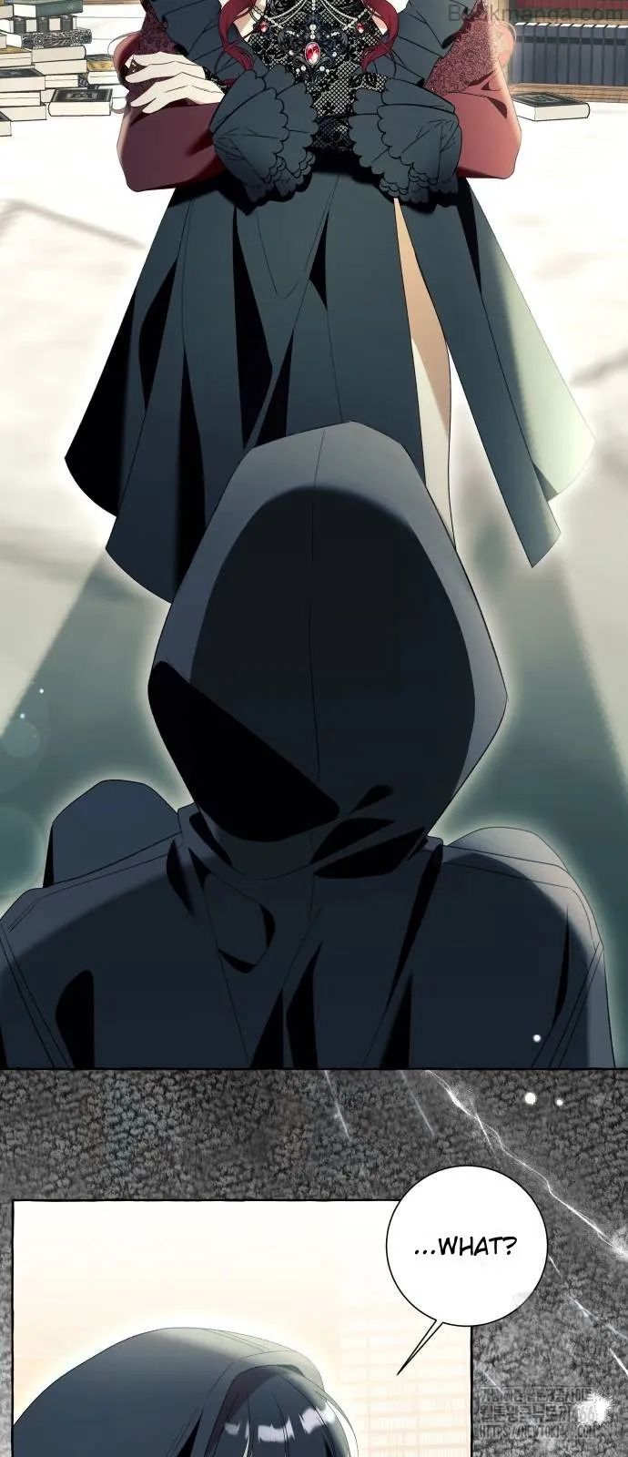 I Thought It’s a Common Possession Chapter 88 page 47