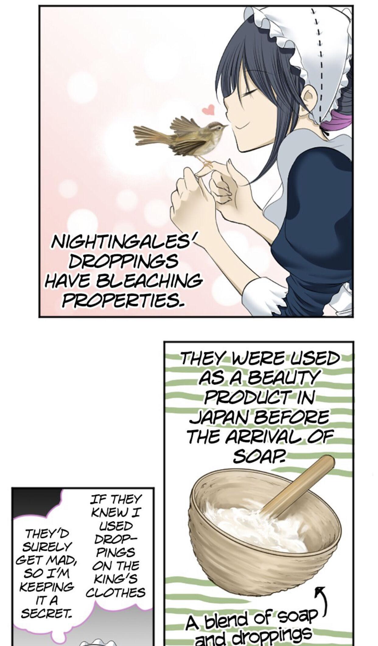 I was Reborn as a Housekeeper in a Parallel World! Chapter 1 page 71