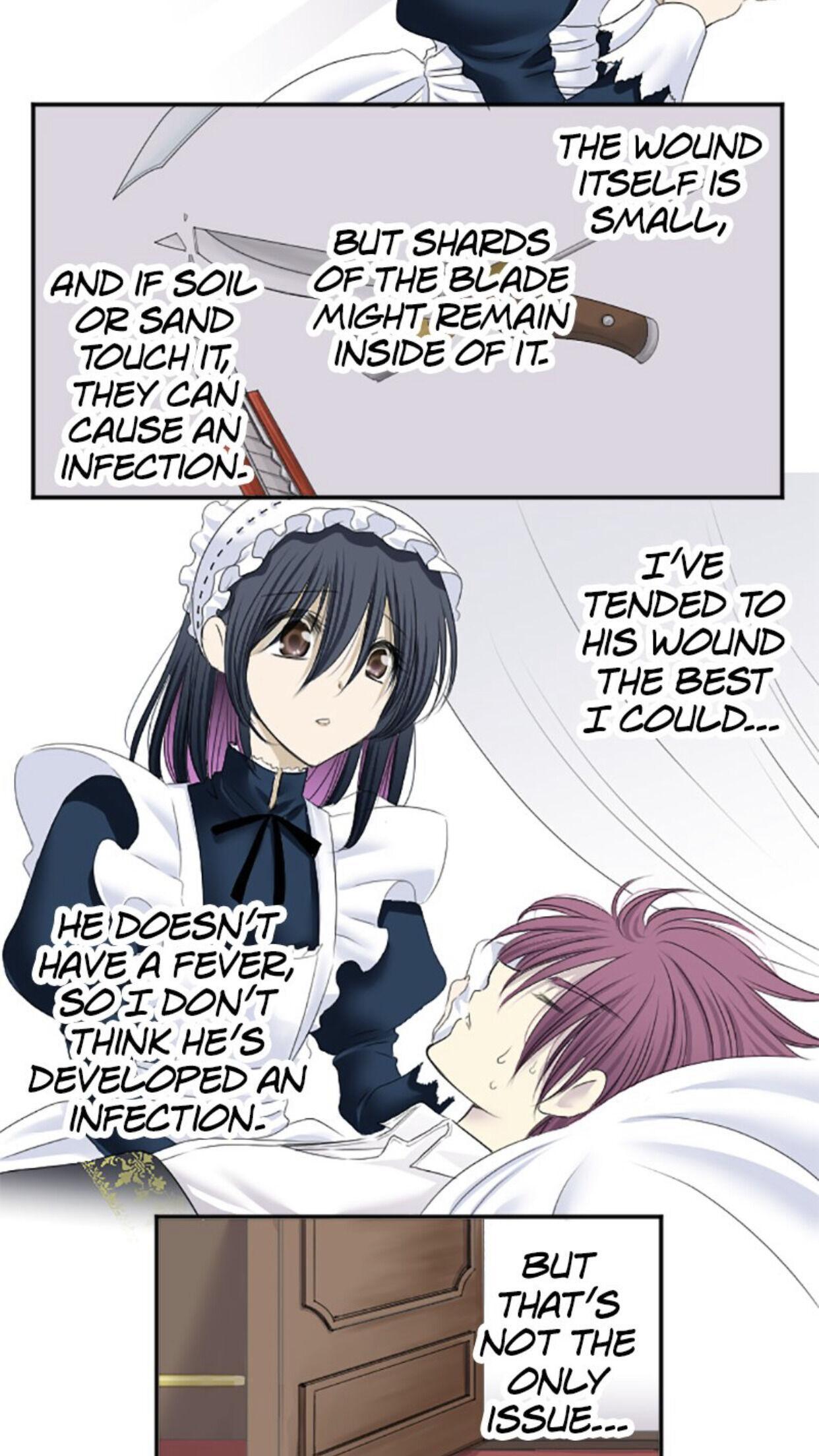 I was Reborn as a Housekeeper in a Parallel World! Chapter 10 page 16