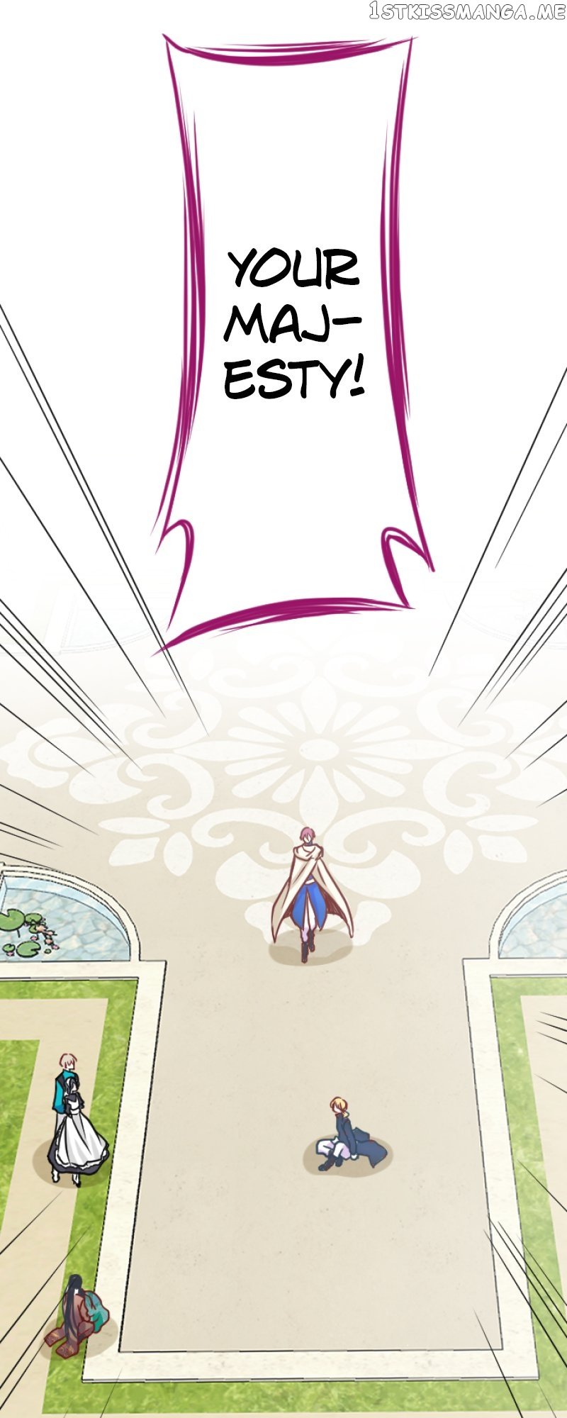 I was Reborn as a Housekeeper in a Parallel World! Chapter 114 page 46