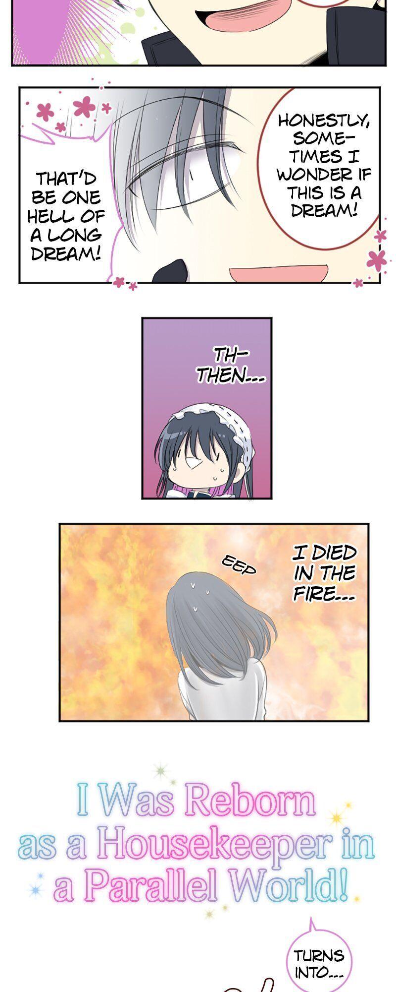 I was Reborn as a Housekeeper in a Parallel World! Chapter 15 page 17