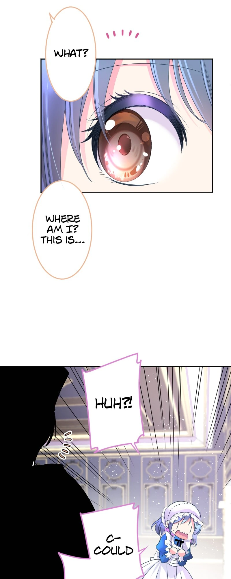 I was Reborn as a Housekeeper in a Parallel World! Chapter 188 page 10