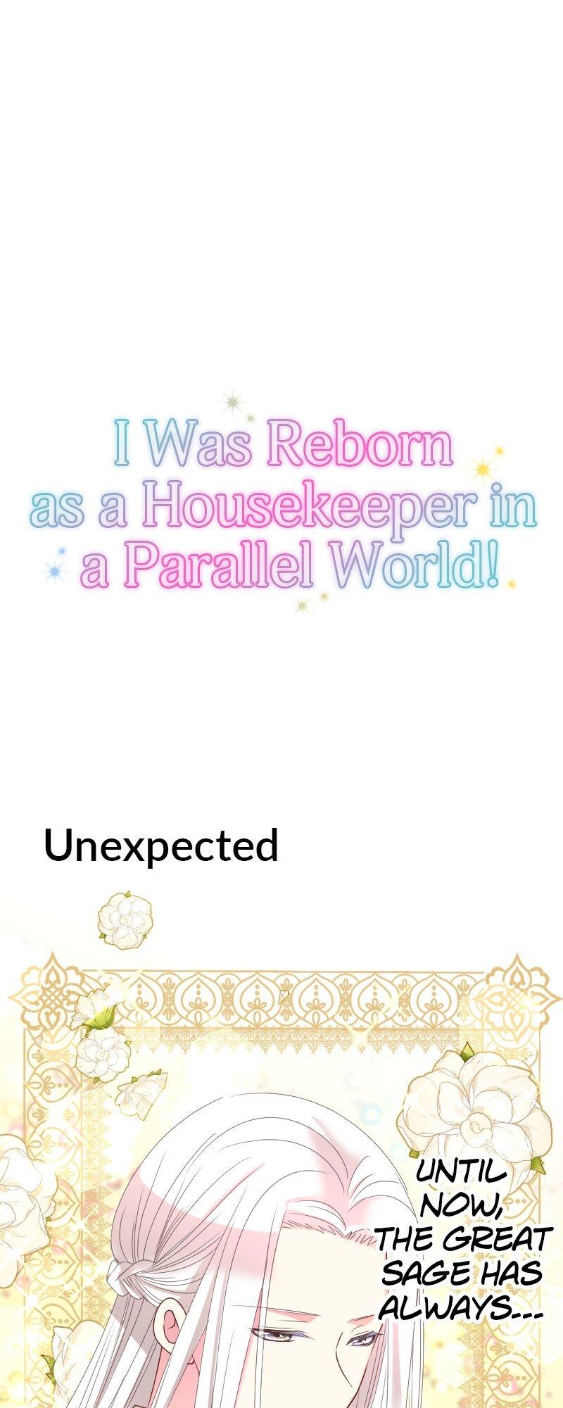 I was Reborn as a Housekeeper in a Parallel World! Chapter 188 page 64