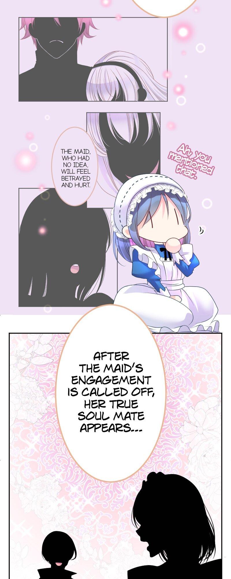 I was Reborn as a Housekeeper in a Parallel World! Chapter 189 page 19