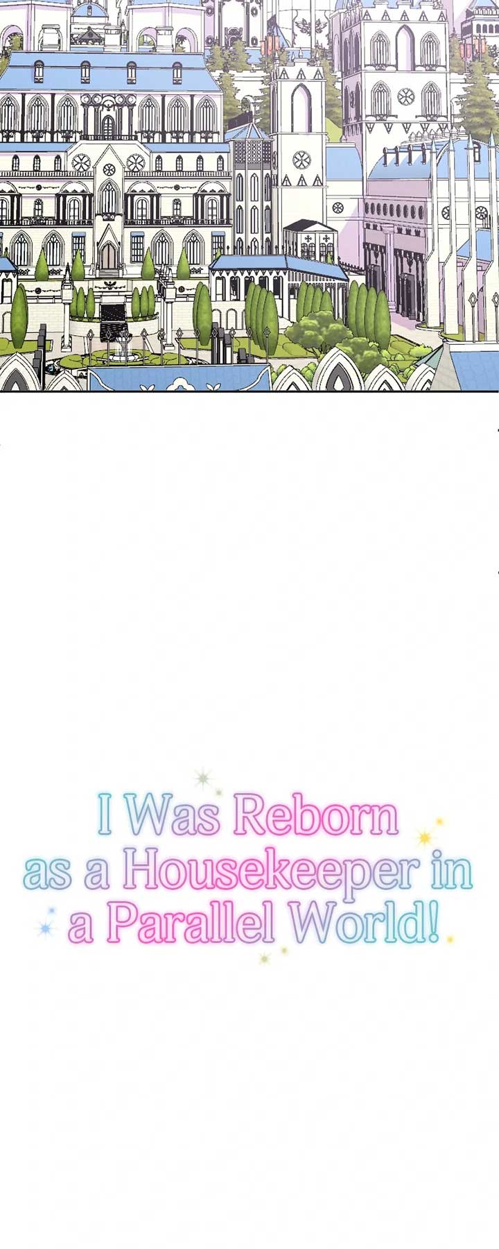 I was Reborn as a Housekeeper in a Parallel World! Chapter 203 page 8
