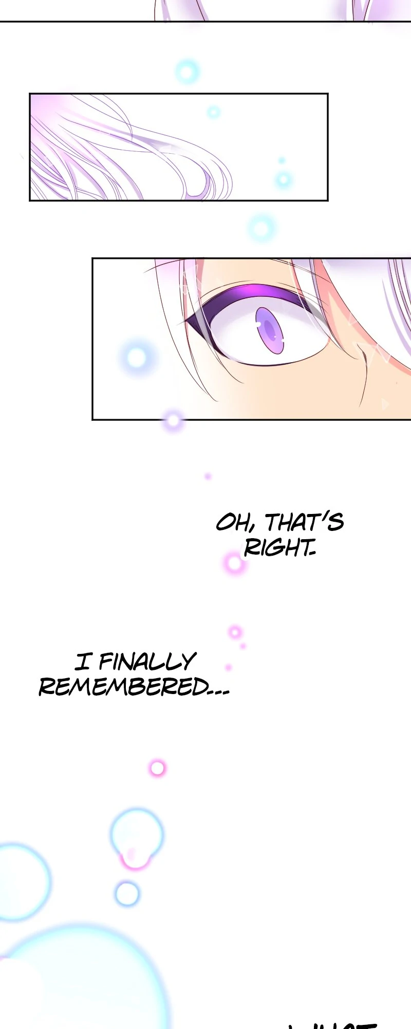 I was Reborn as a Housekeeper in a Parallel World! Chapter 207 page 48