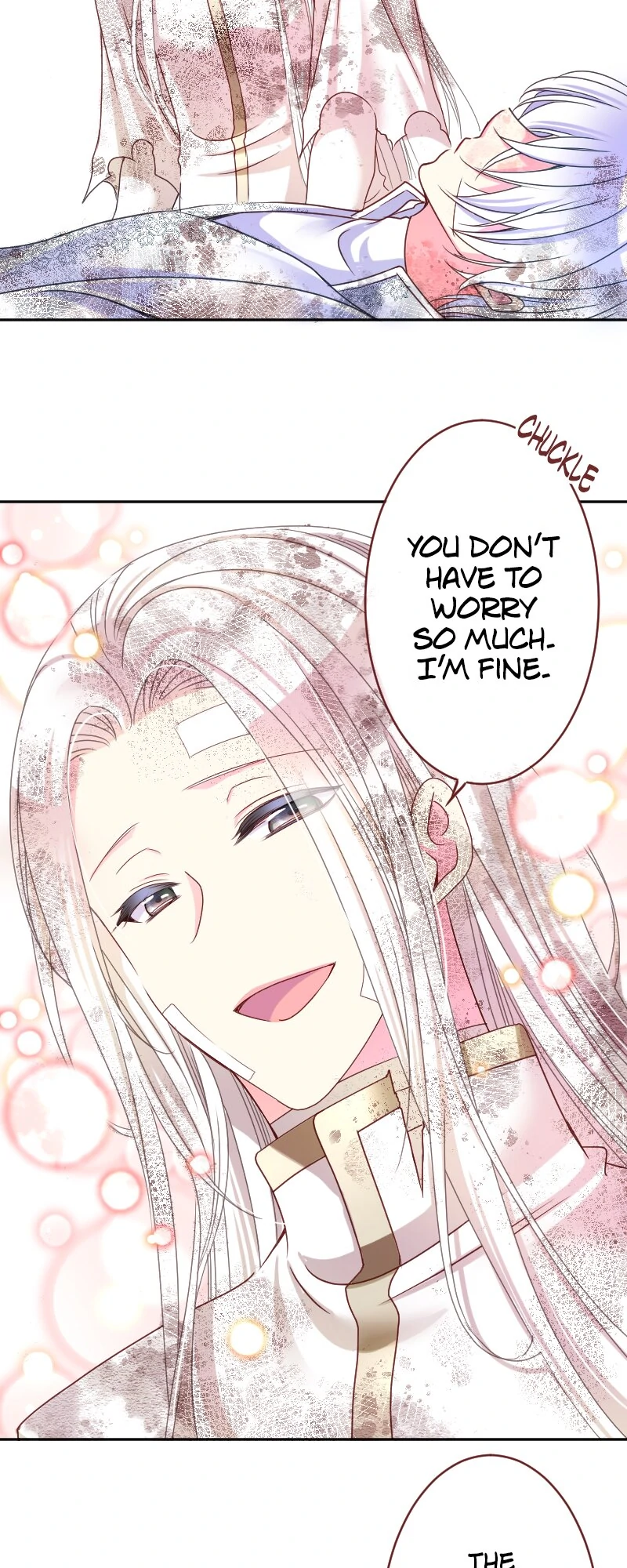 I was Reborn as a Housekeeper in a Parallel World! Chapter 228 page 26