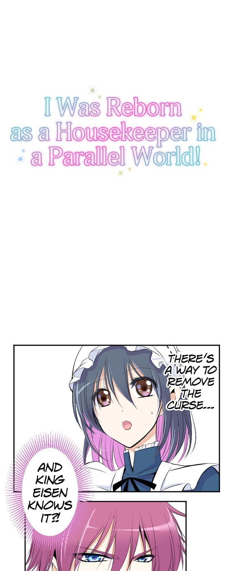I was Reborn as a Housekeeper in a Parallel World! Chapter 29 page 0