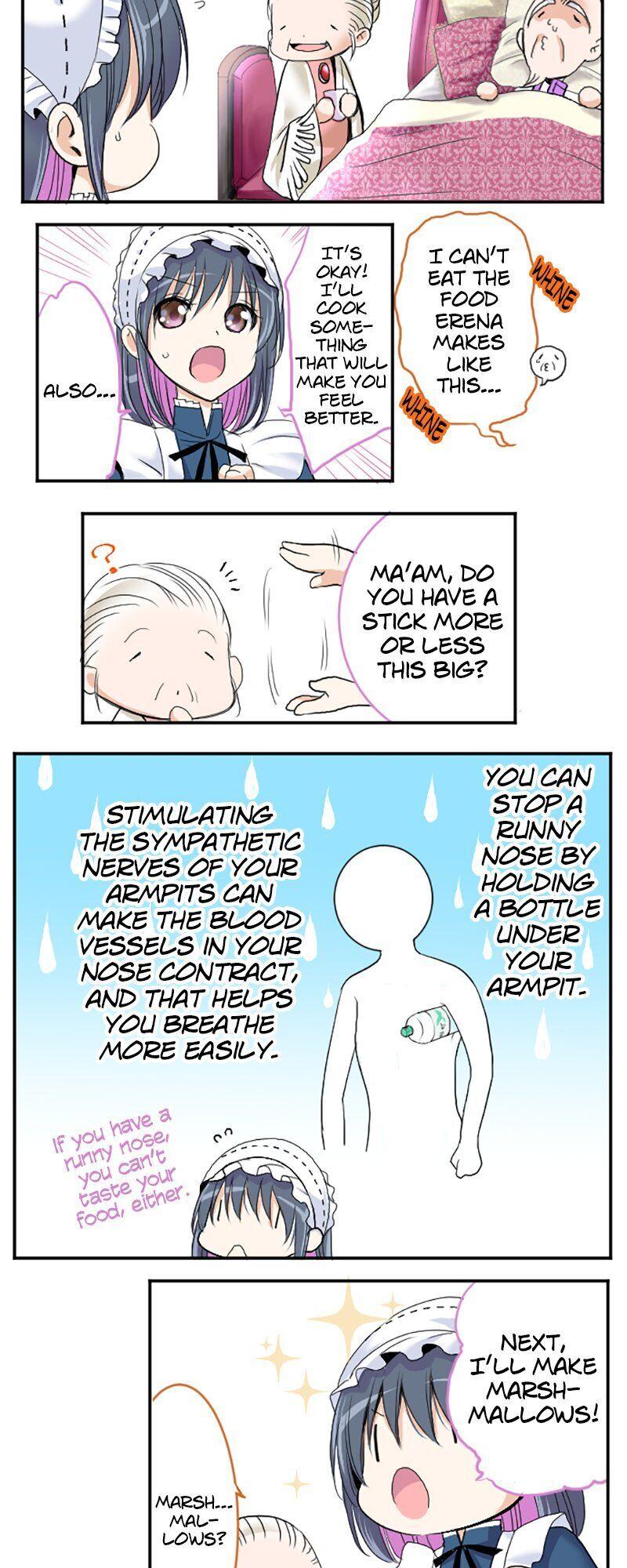 I was Reborn as a Housekeeper in a Parallel World! Chapter 33 page 3