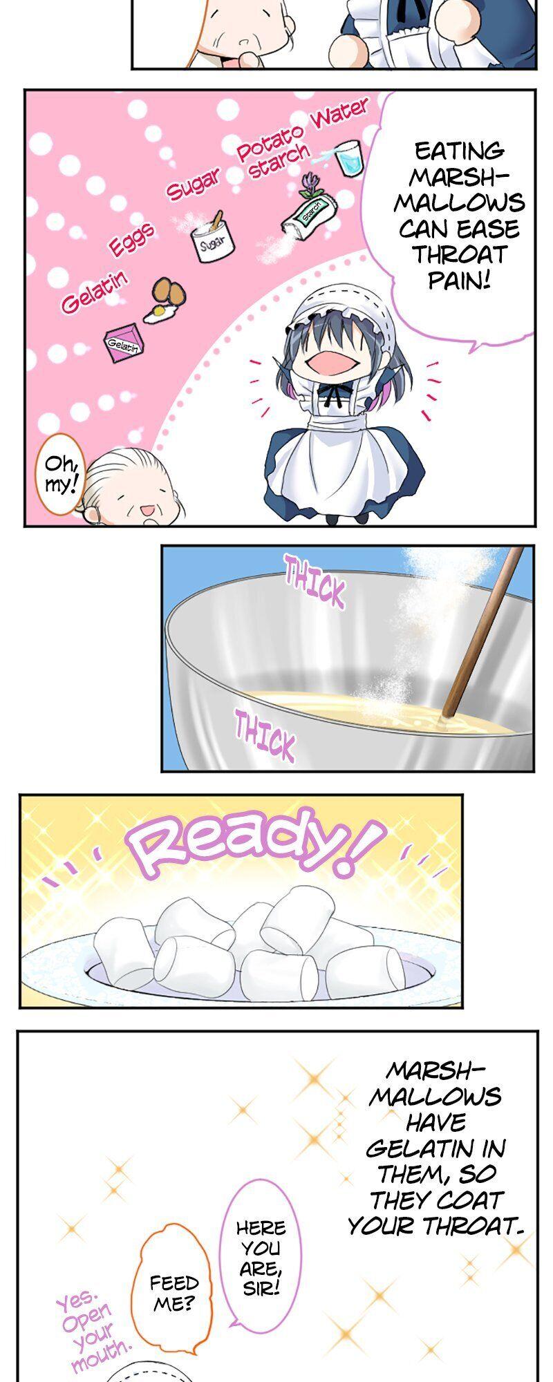 I was Reborn as a Housekeeper in a Parallel World! Chapter 33 page 4