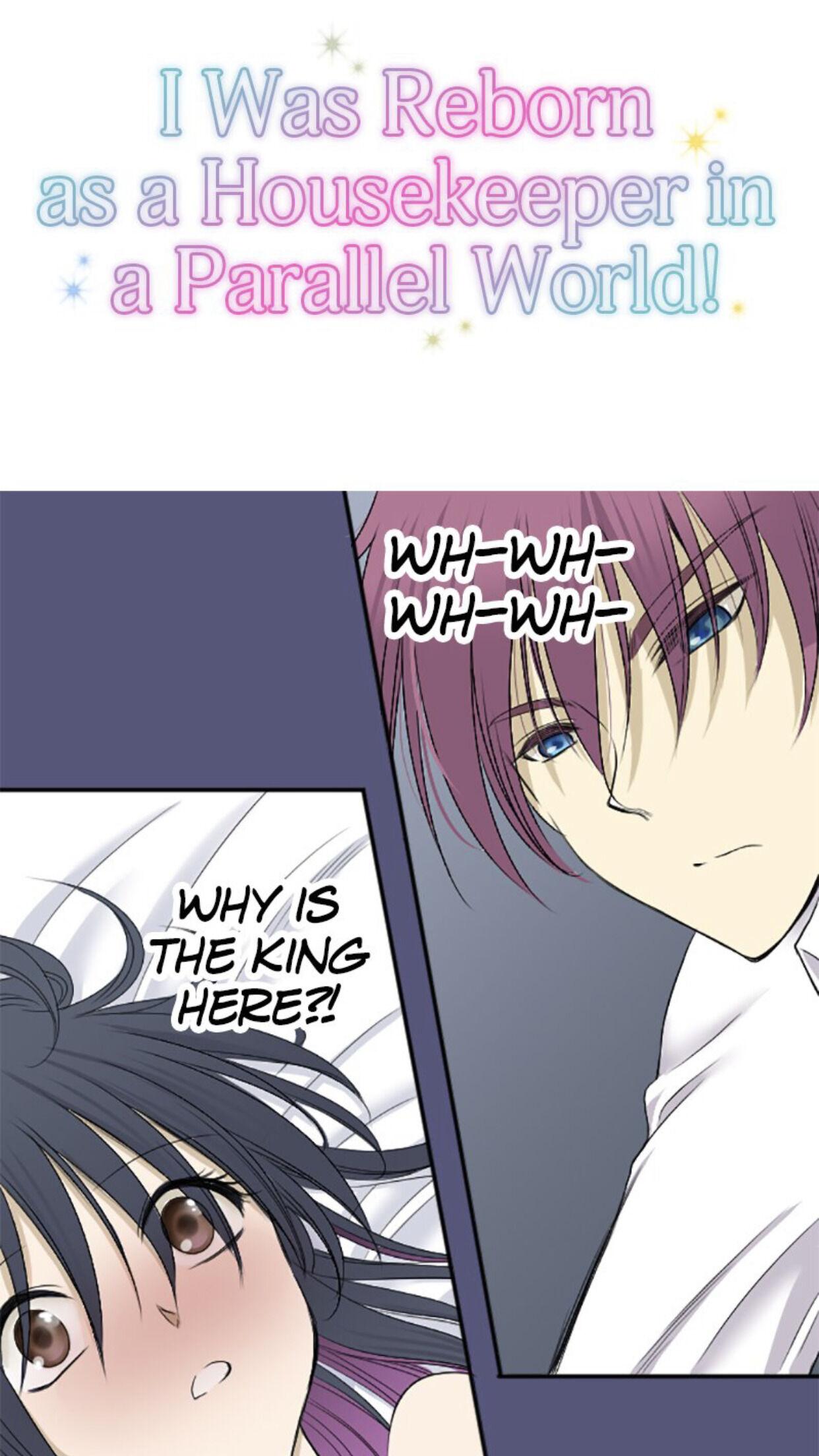 I was Reborn as a Housekeeper in a Parallel World! Chapter 4 page 0