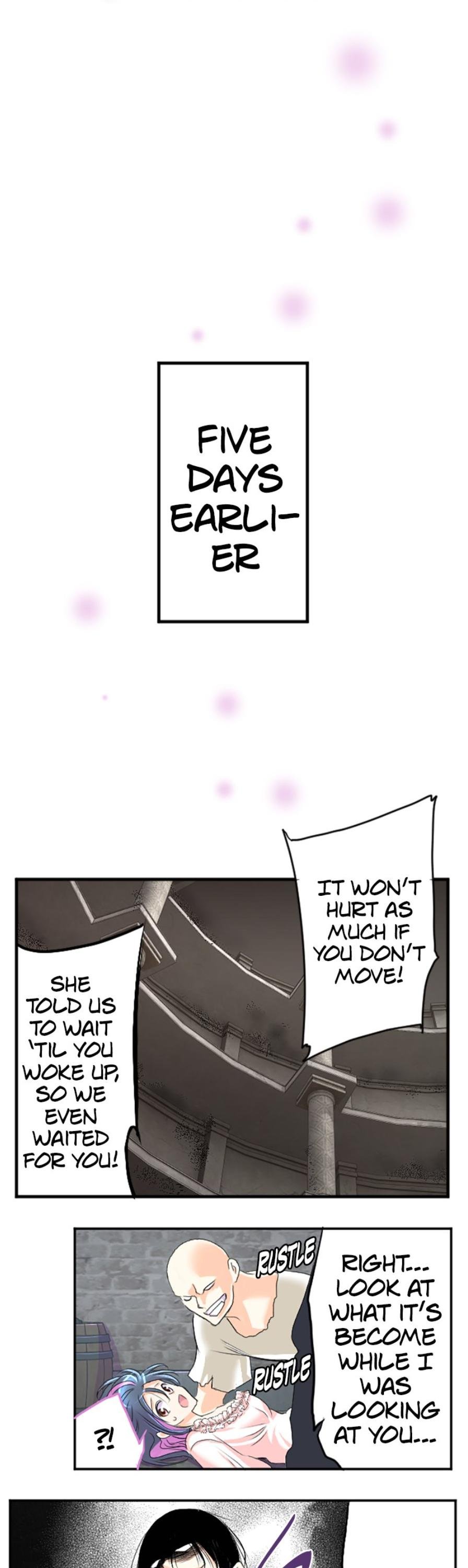 I was Reborn as a Housekeeper in a Parallel World! Chapter 46 page 10
