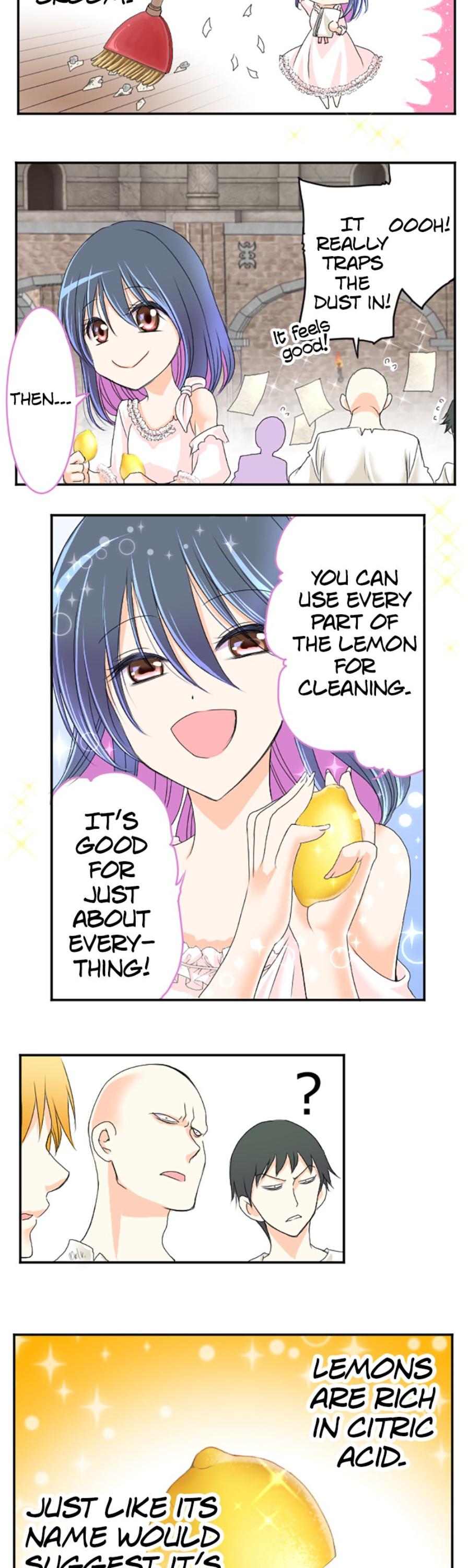 I was Reborn as a Housekeeper in a Parallel World! Chapter 47 page 11