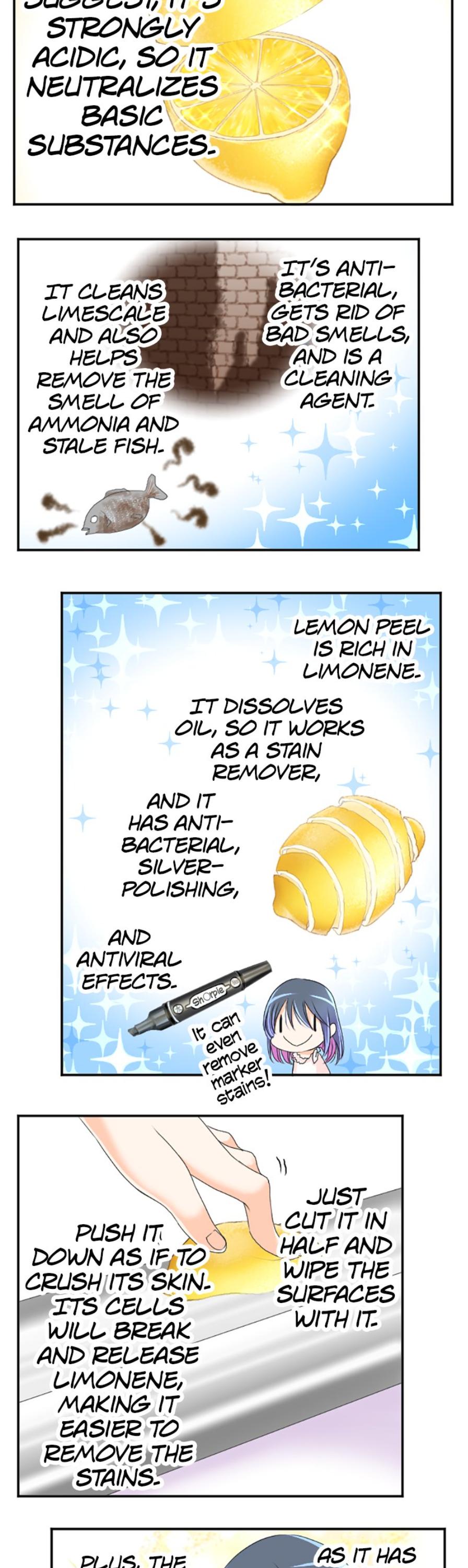 I was Reborn as a Housekeeper in a Parallel World! Chapter 47 page 12