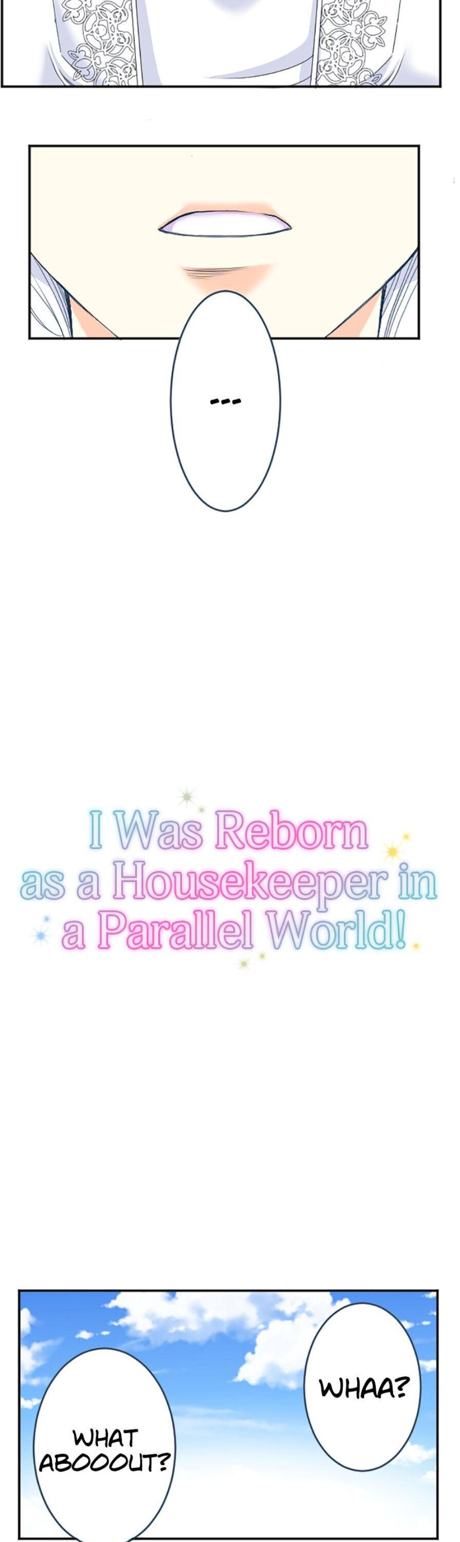 I was Reborn as a Housekeeper in a Parallel World! Chapter 53 page 1