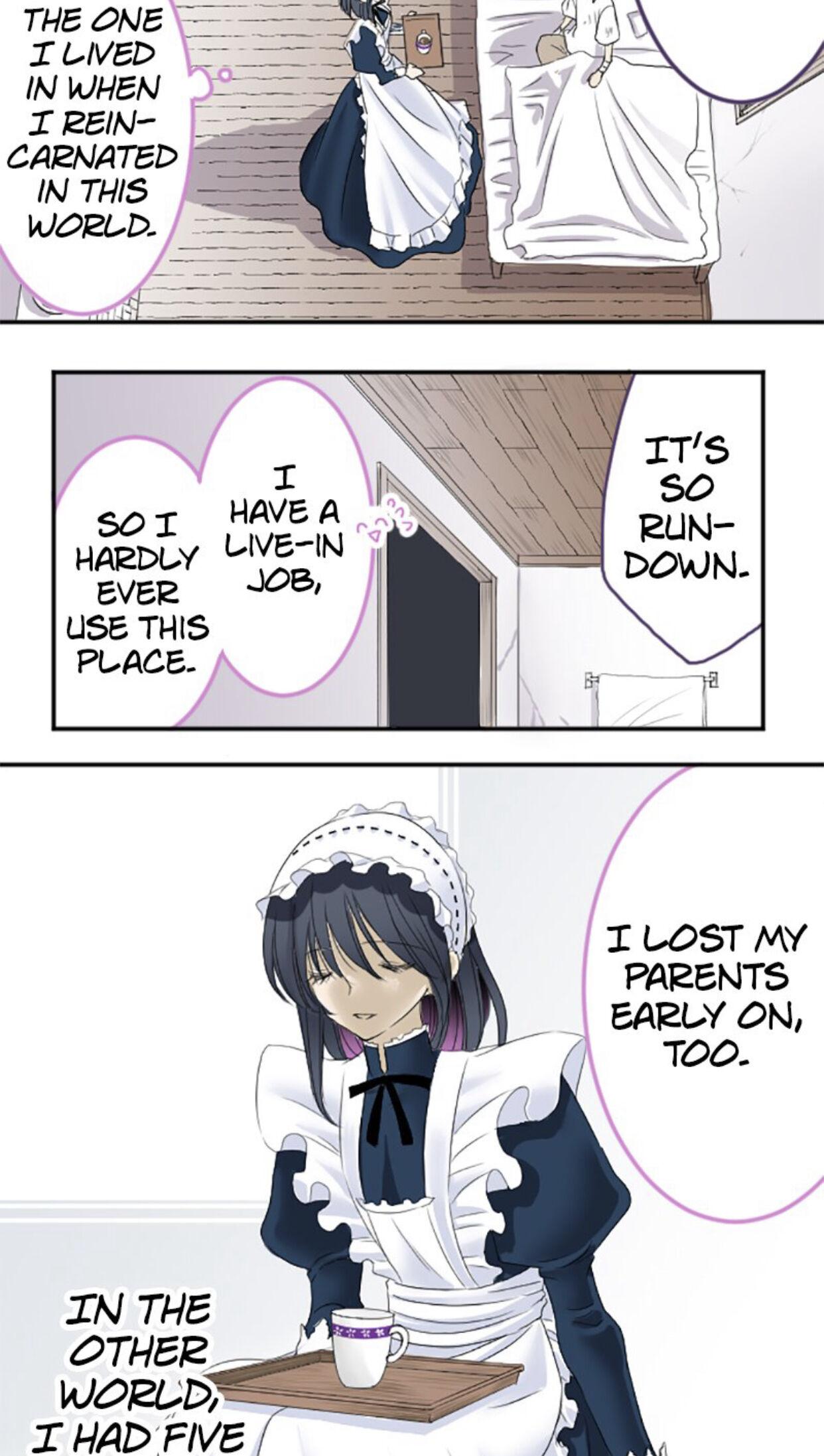 I was Reborn as a Housekeeper in a Parallel World! Chapter 6 page 9