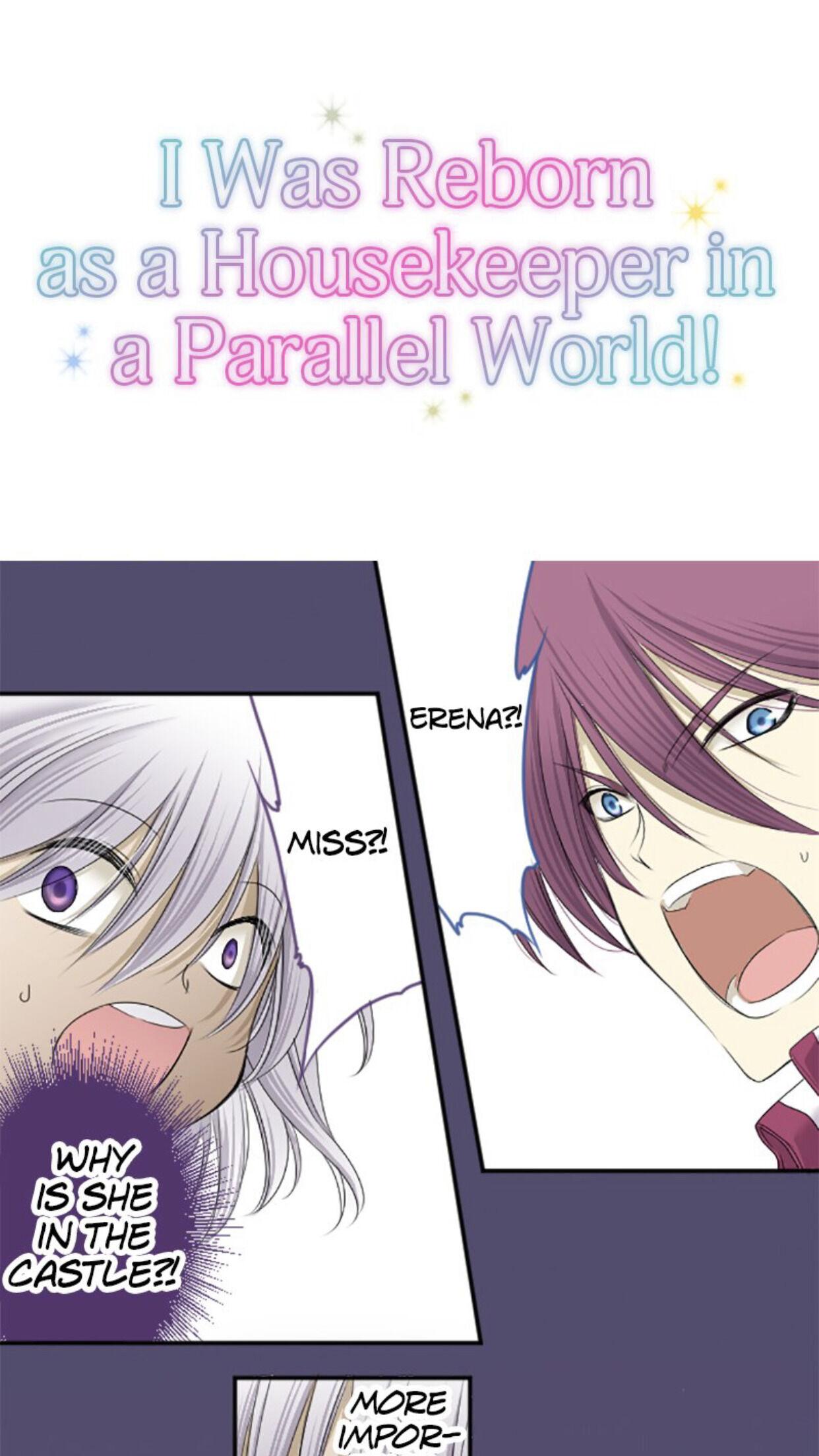 I was Reborn as a Housekeeper in a Parallel World! Chapter 8 page 0