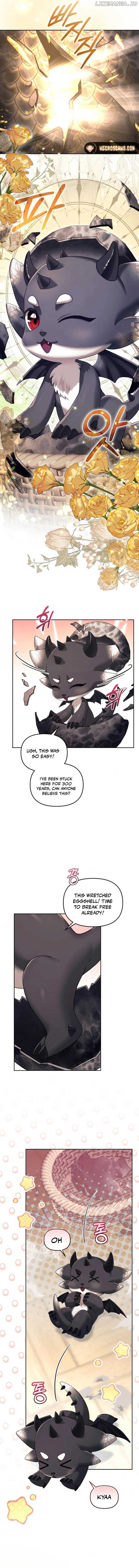 I Was The Acting Empress But I Spent The First Night With Him Chapter 28 page 10