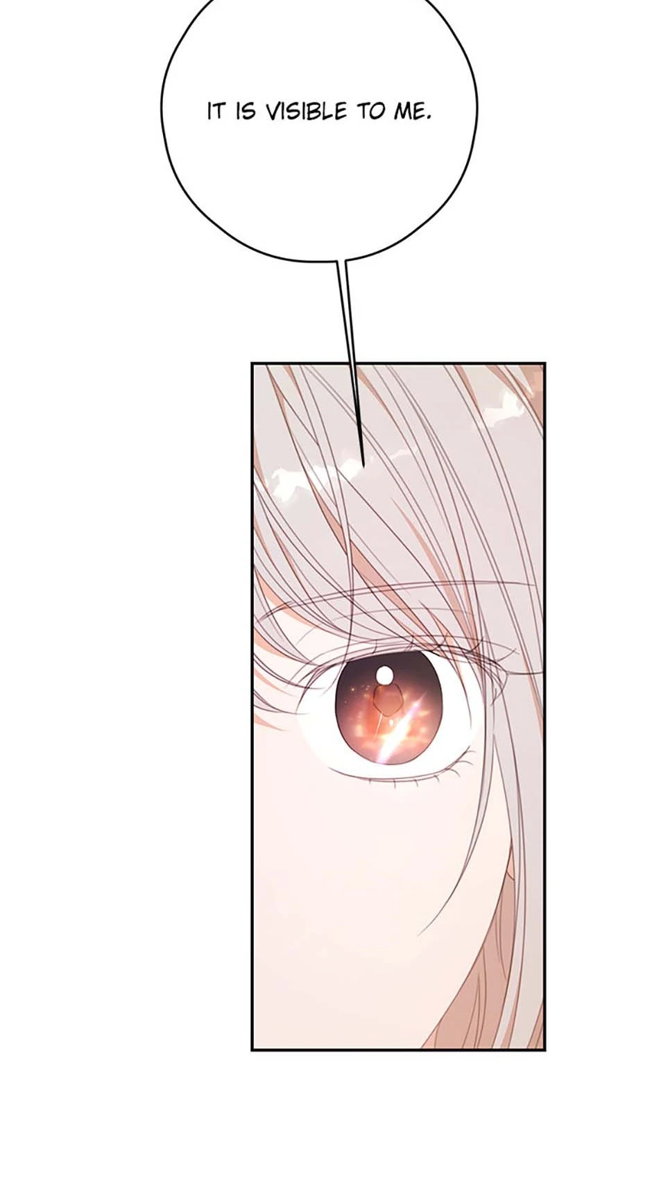 I Will Live as a Supporting Role in This Life Chapter 91 page 17