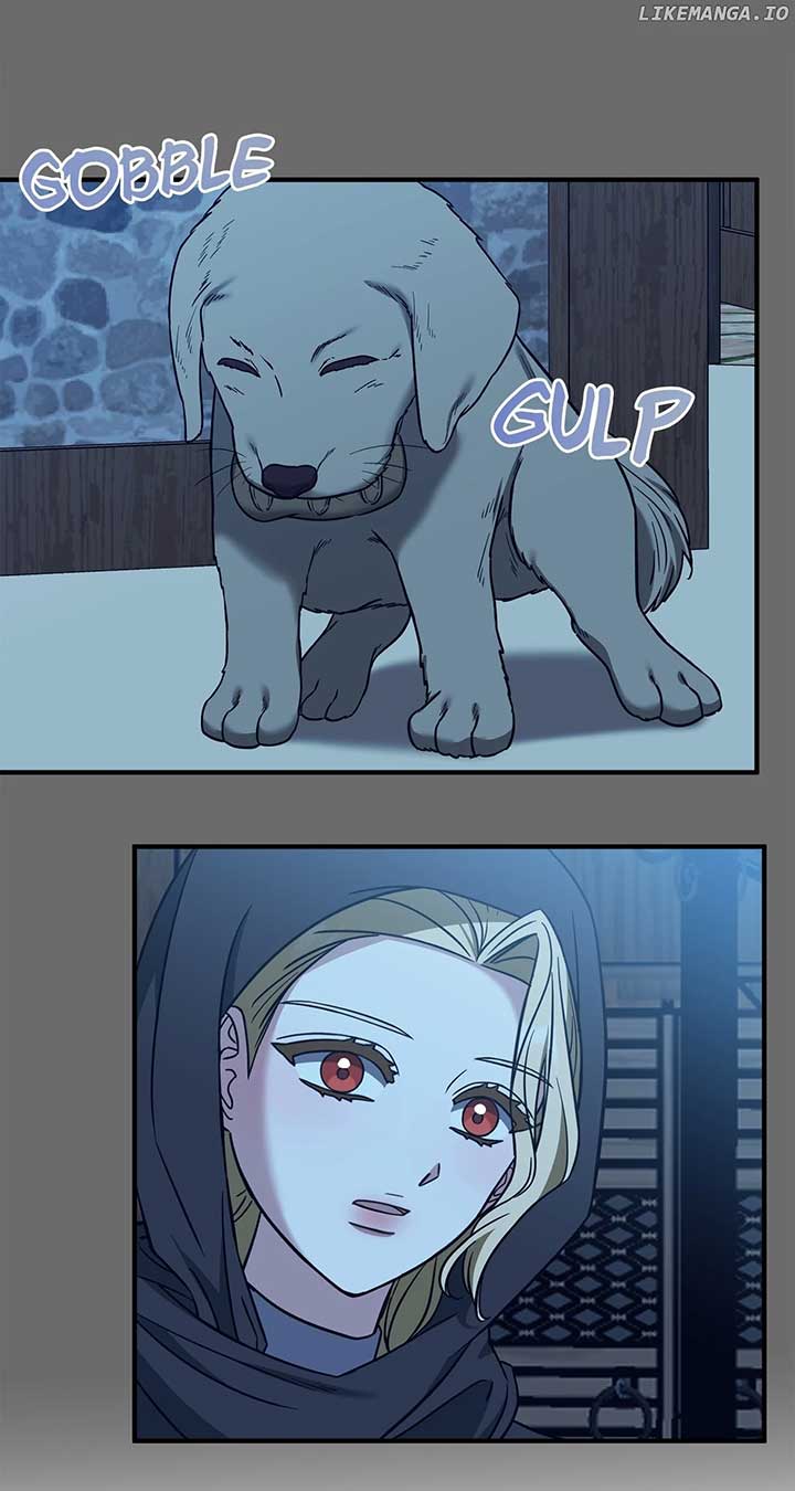 I Won’t Go Back to My Family Who Abandoned Me Chapter 62 page 16