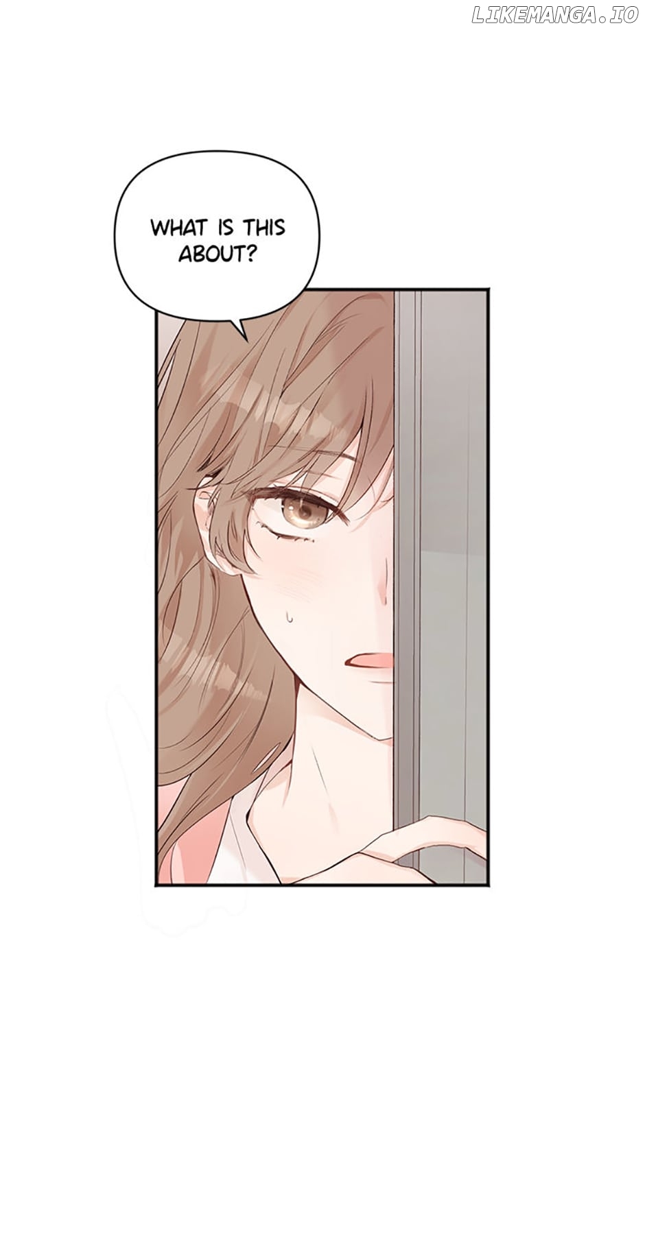 Ideal Match Delivery Service Chapter 0.1 page 25