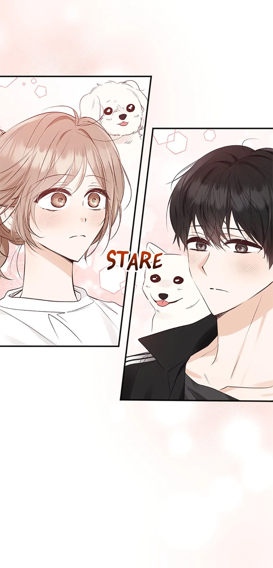 Ideal Match Delivery Service Chapter 36 page 41