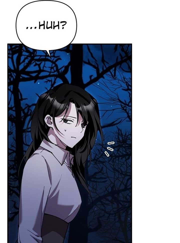 I’m a Solo Guide Chapter 16 page 11