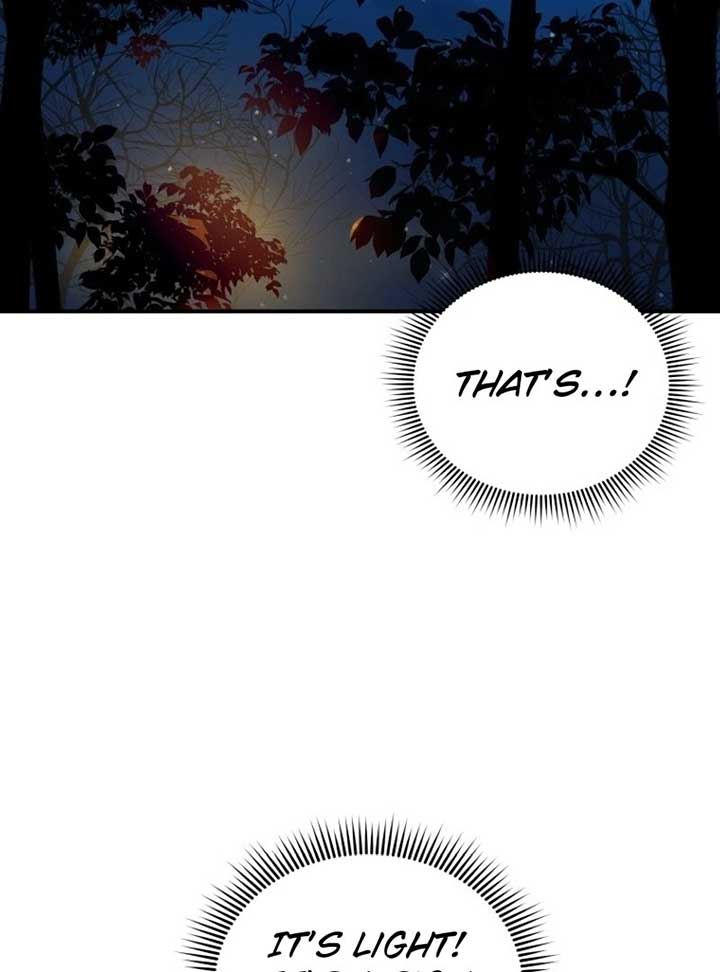 I’m a Solo Guide Chapter 16 page 13