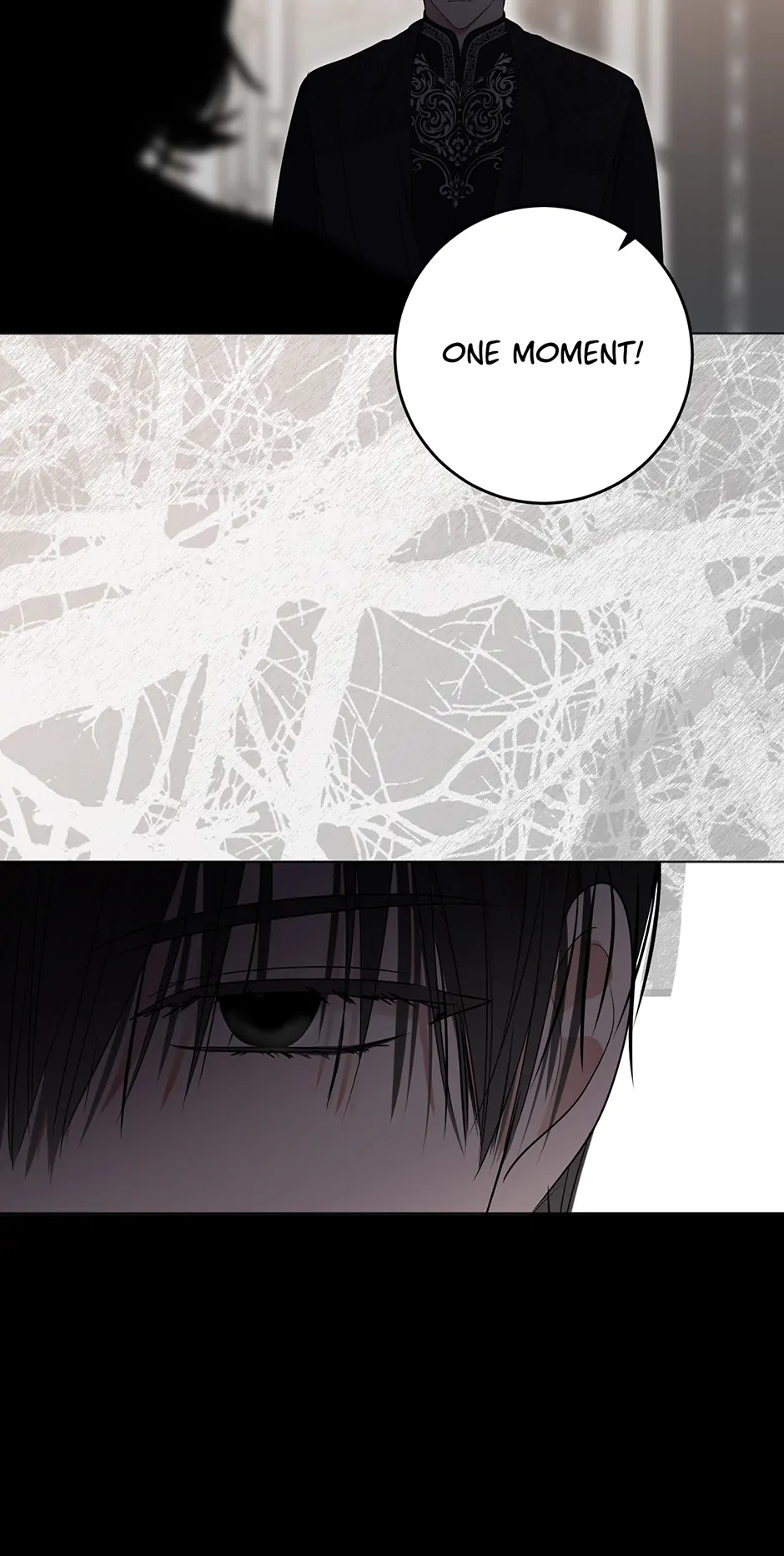 It Looks Like I’ve Fallen into the World of a Reverse Harem Game Chapter 134 page 48