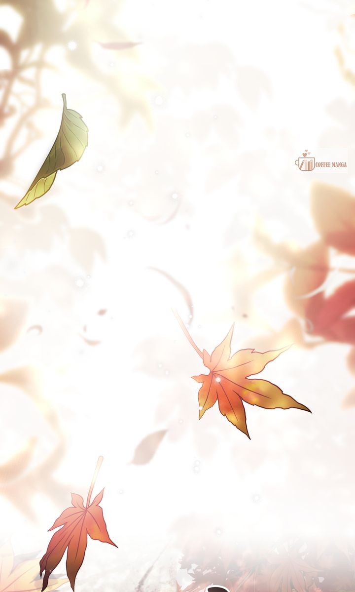 It Was Just a Contract Marriage Chapter 53 page 72