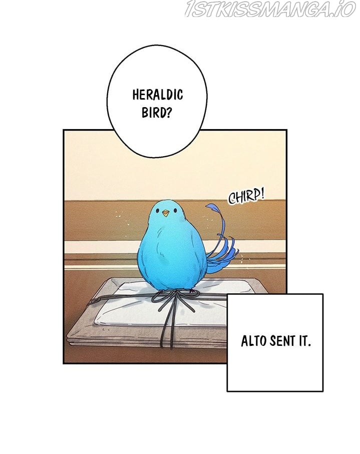 Let’s Hide My Younger Brother First Chapter 13.5 page 0