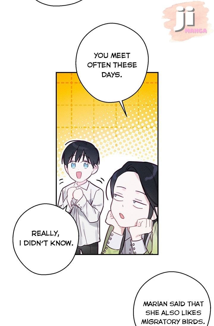 Let’s Hide My Younger Brother First Chapter 17 page 54