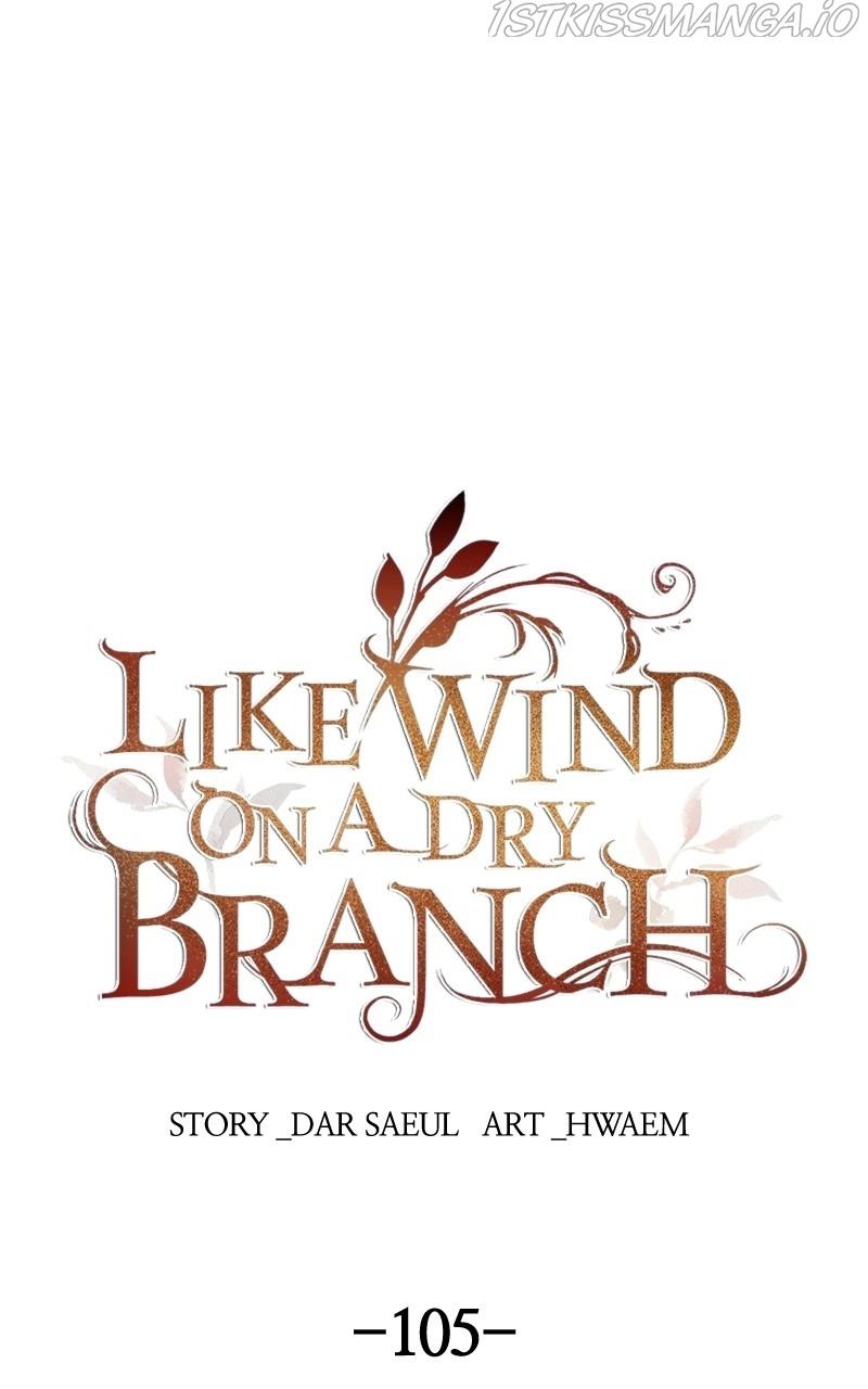 Like A Wind On A Dry Branch Chapter 105 page 0