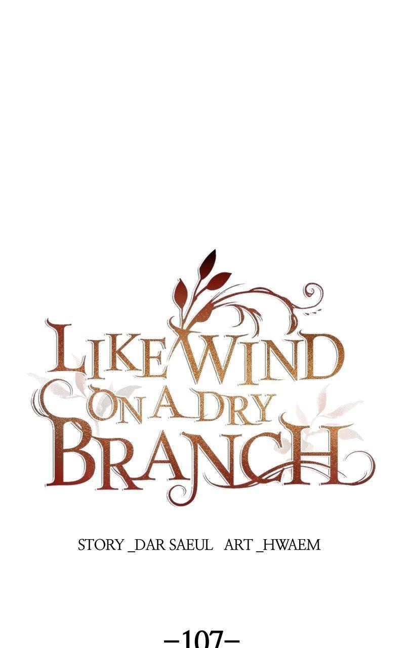 Like A Wind On A Dry Branch Chapter 107 page 0
