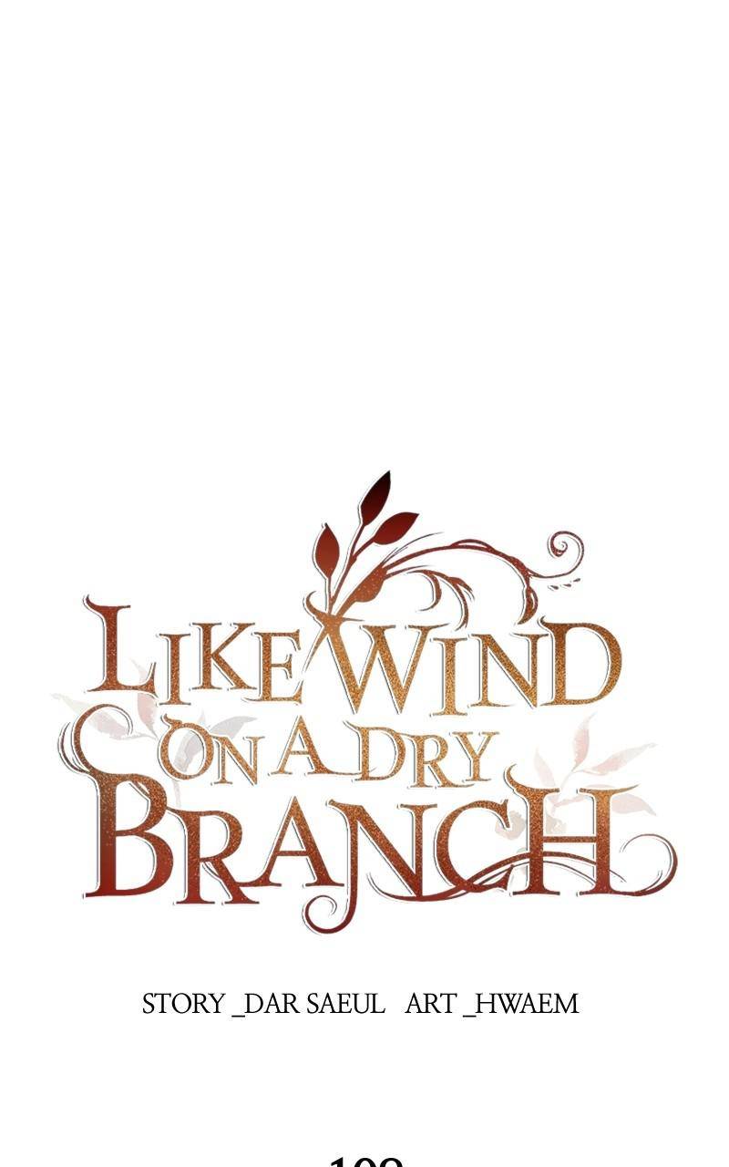 Like A Wind On A Dry Branch Chapter 108 page 66