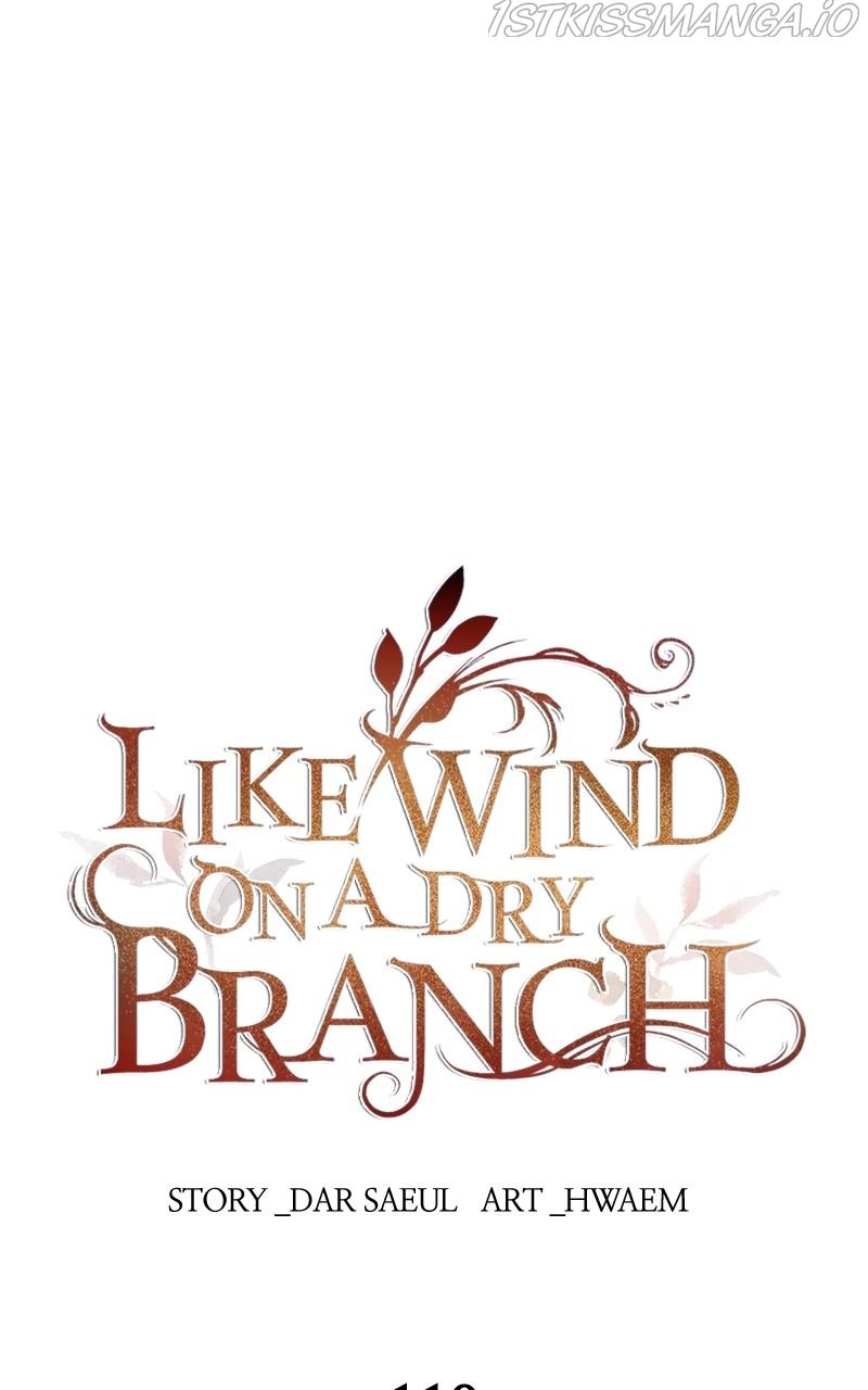 Like A Wind On A Dry Branch Chapter 110 page 0
