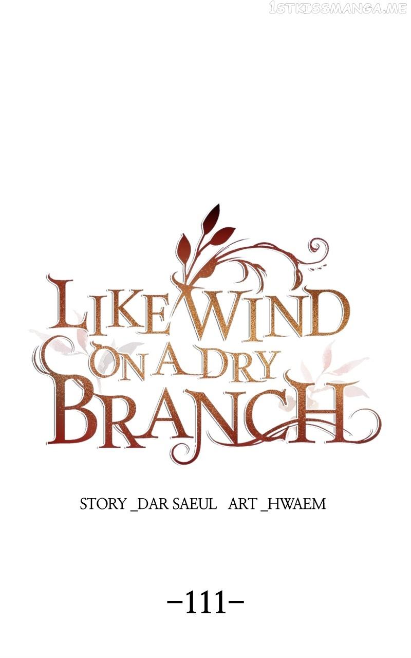 Like A Wind On A Dry Branch Chapter 111 page 0