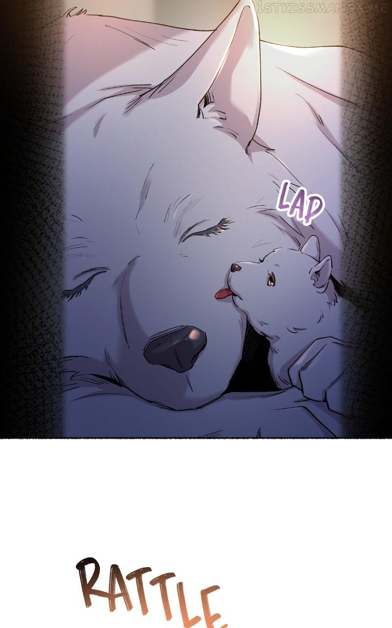Like A Wind On A Dry Branch Chapter 113 page 66