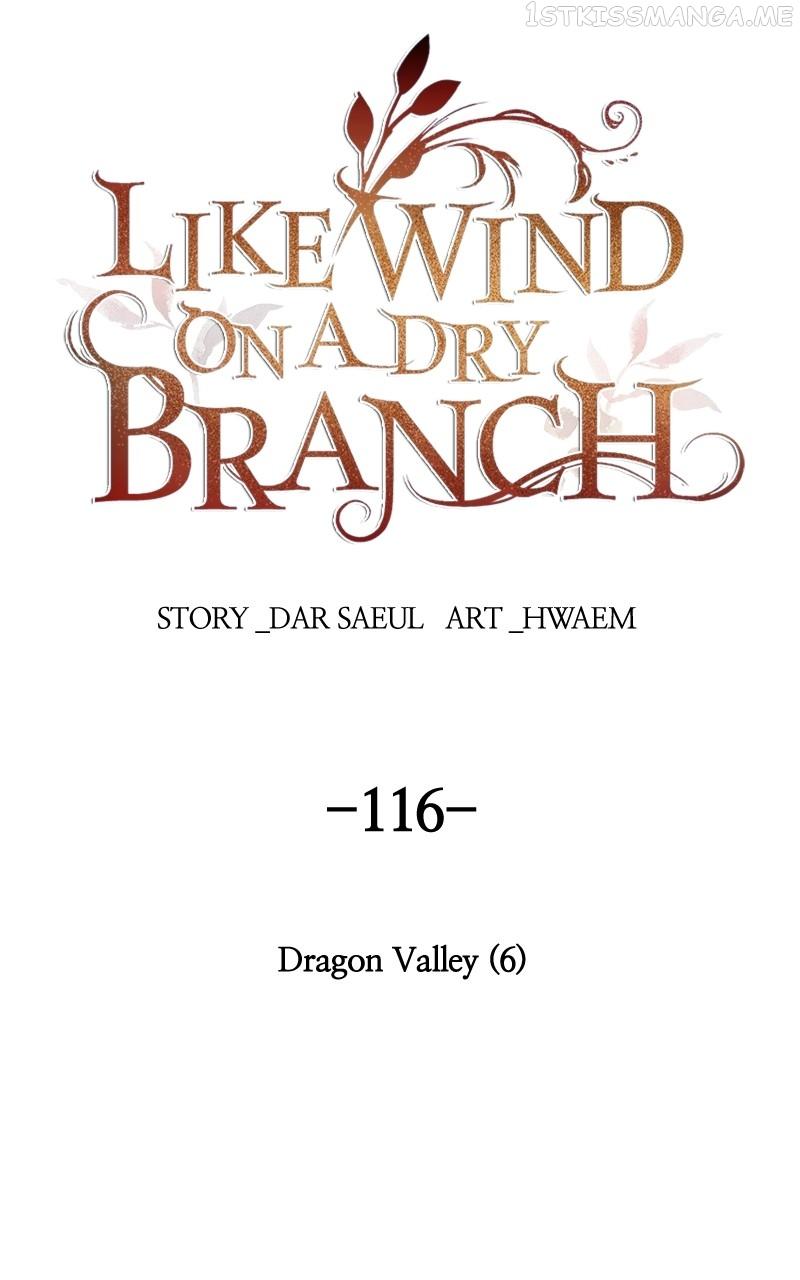 Like A Wind On A Dry Branch Chapter 116 page 8