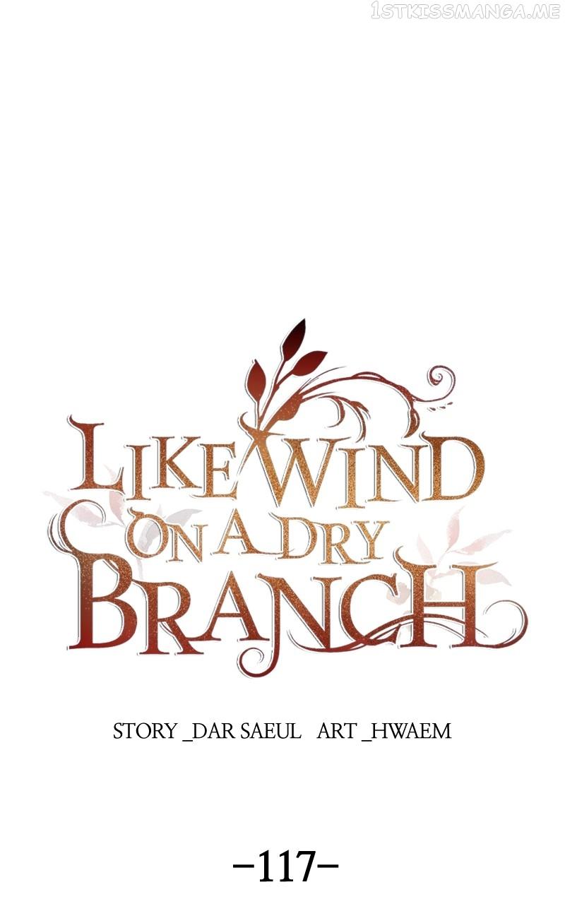 Like A Wind On A Dry Branch Chapter 117 page 0