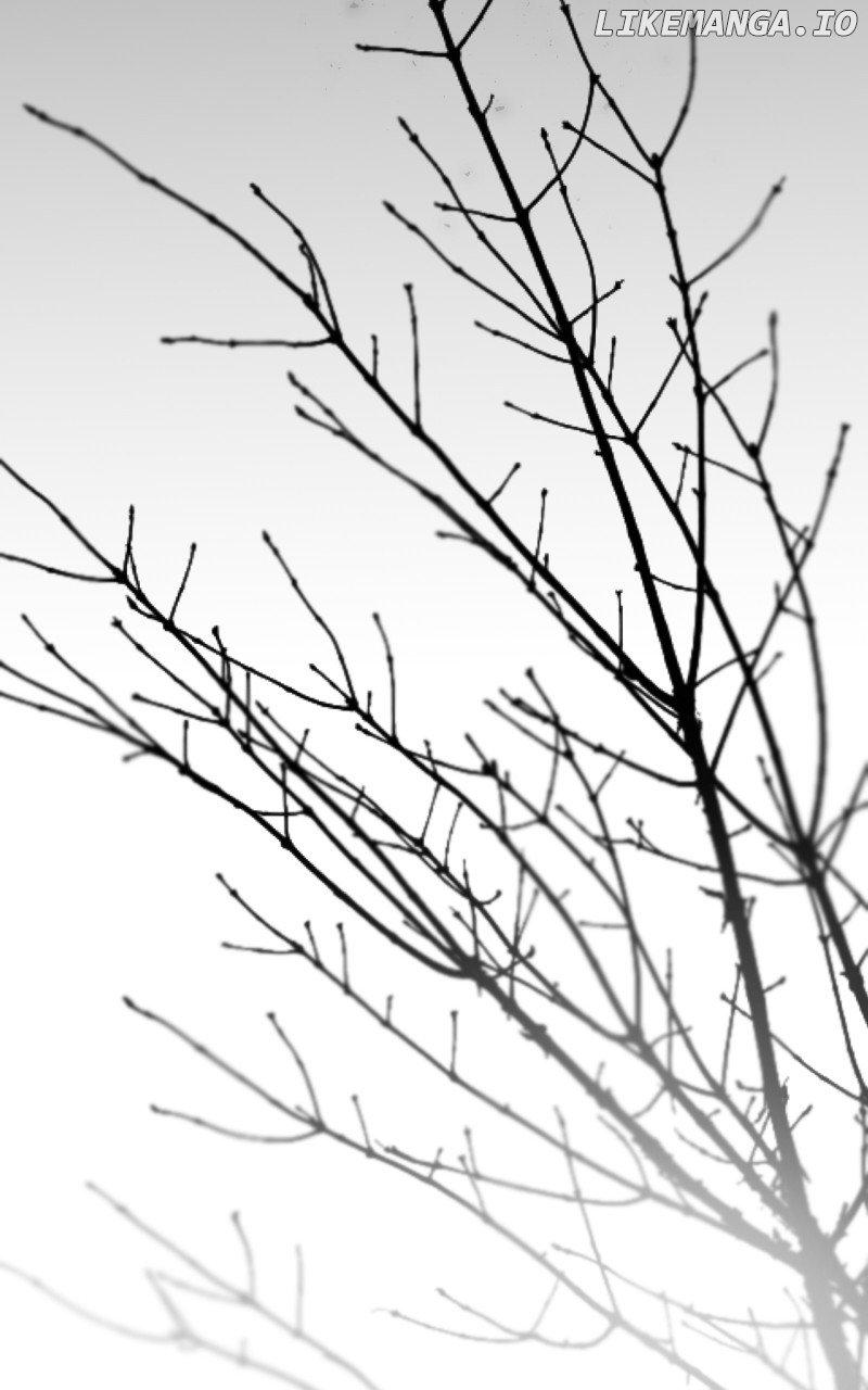 Like A Wind On A Dry Branch Chapter 157 page 162