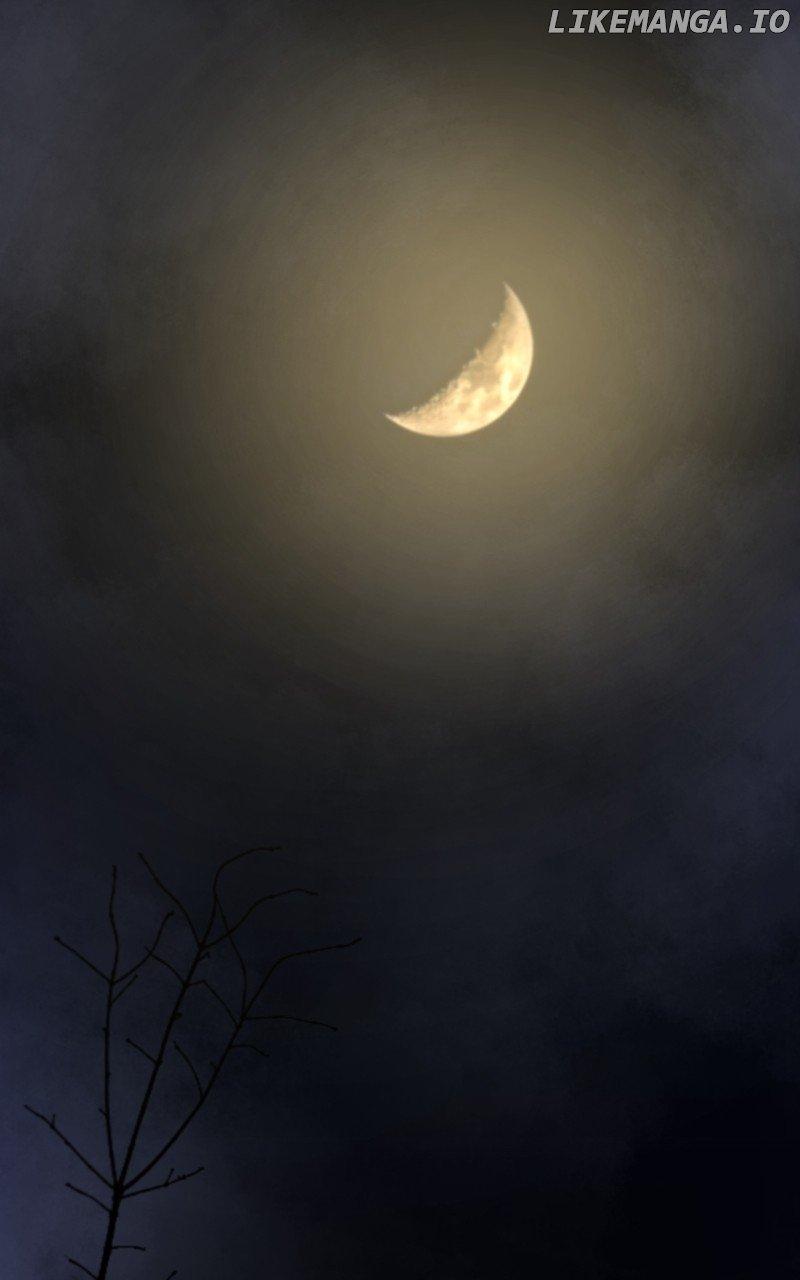 Like A Wind On A Dry Branch Chapter 159 page 84