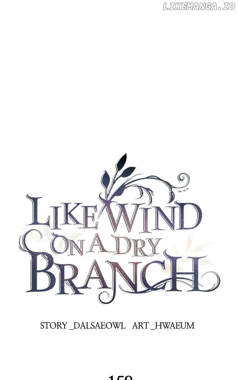 Like A Wind On A Dry Branch Chapter 160 page 0