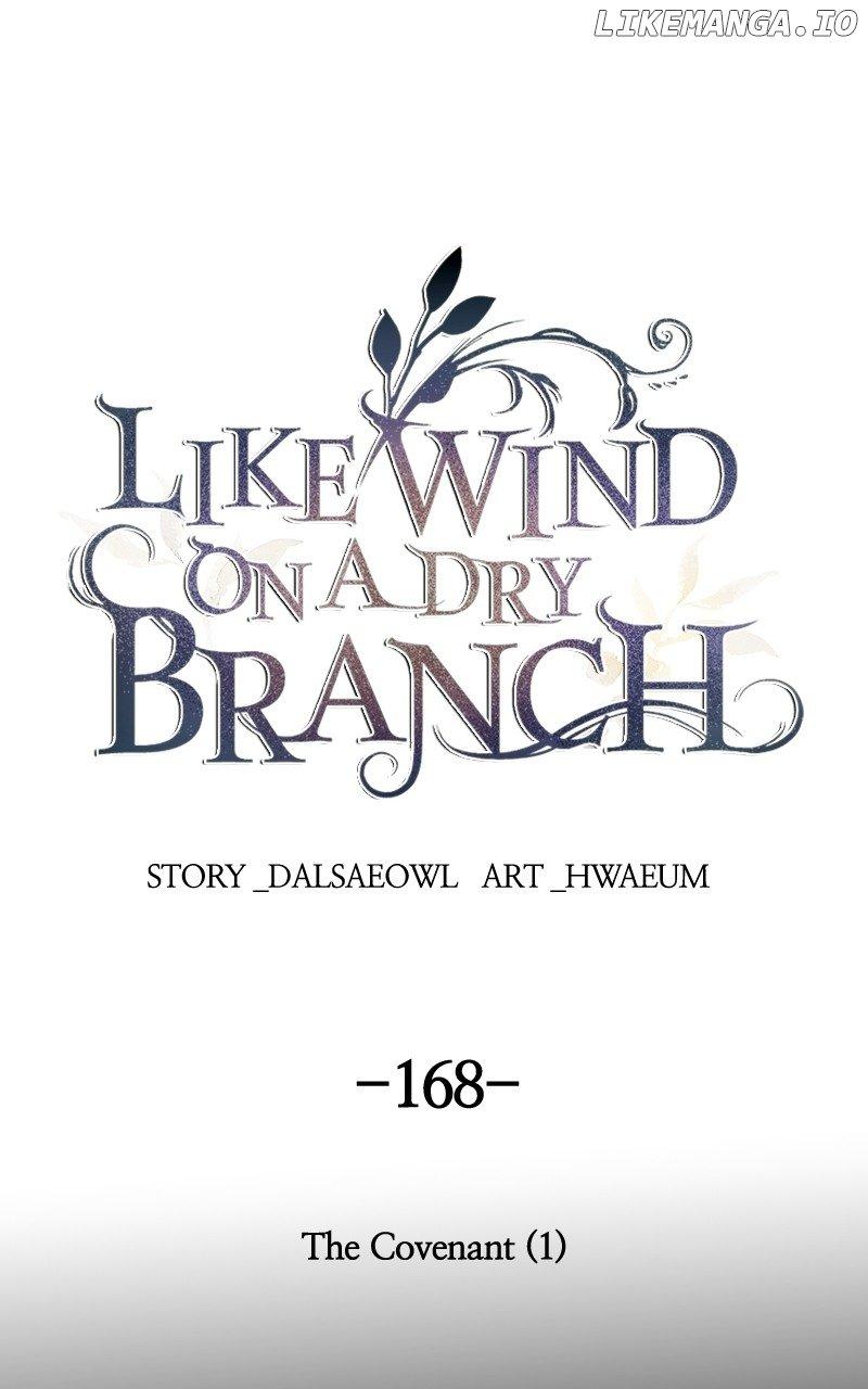 Like A Wind On A Dry Branch Chapter 170 page 40