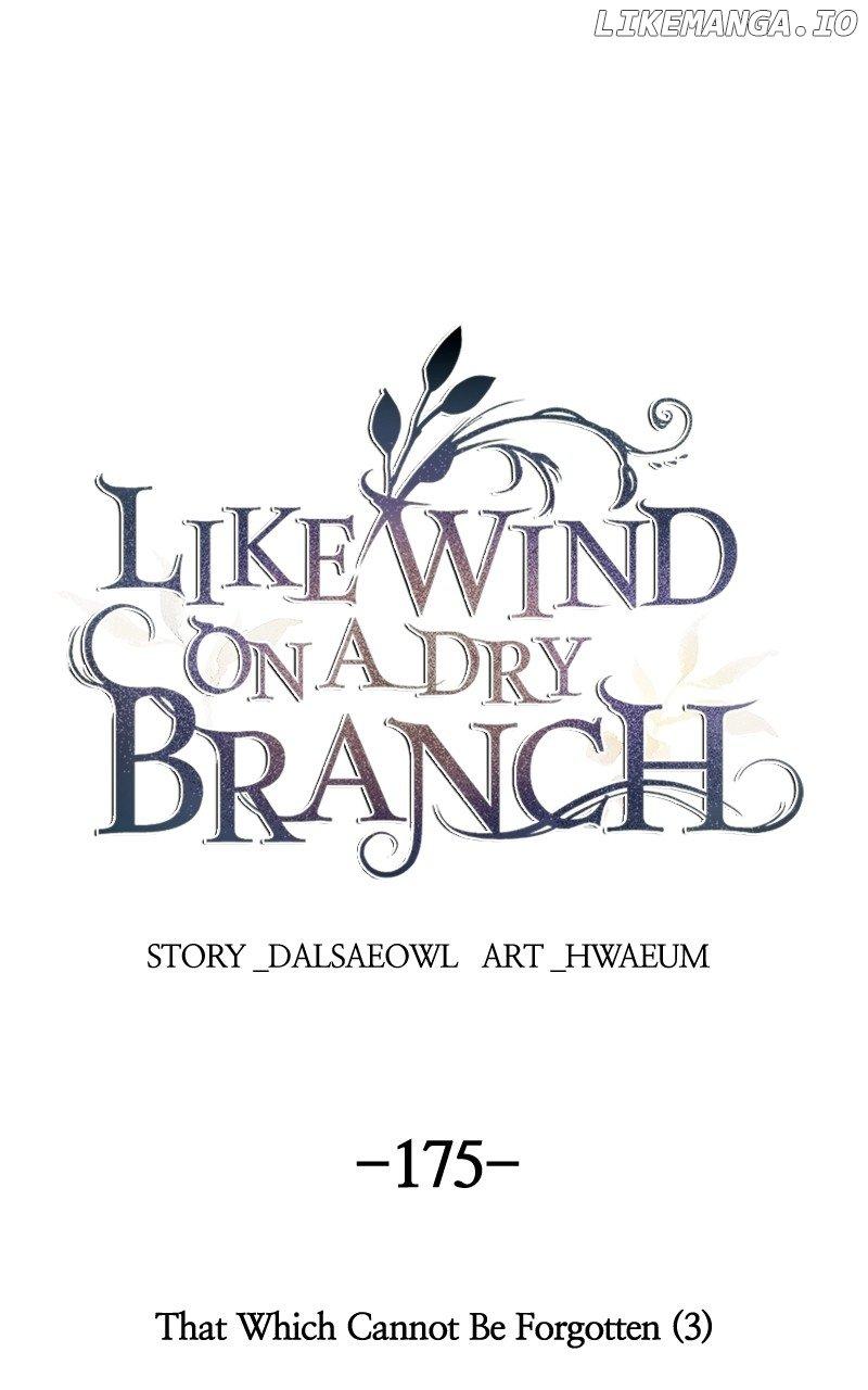Like A Wind On A Dry Branch Chapter 177 page 0
