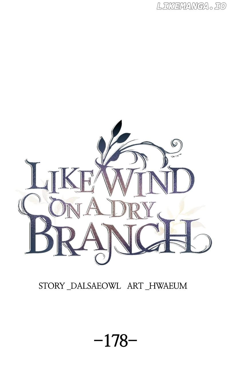 Like A Wind On A Dry Branch Chapter 180 page 0