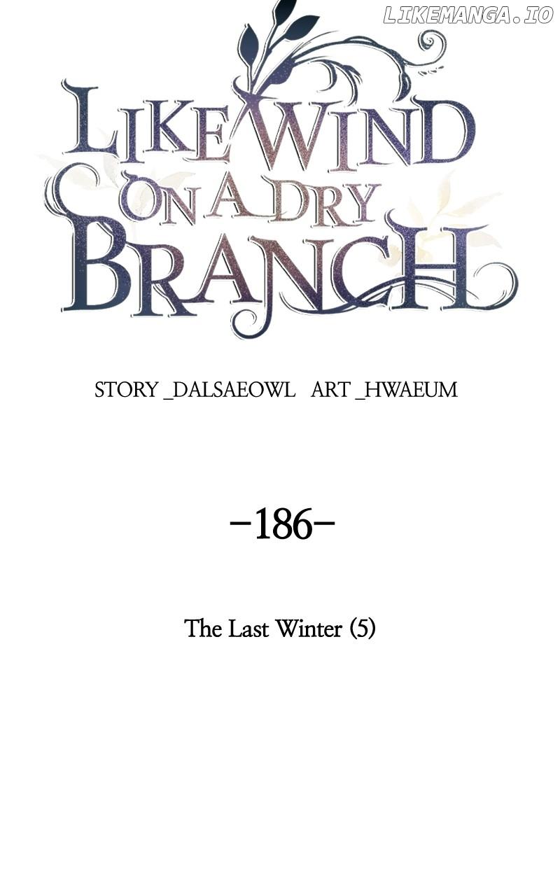 Like A Wind On A Dry Branch Chapter 188 page 76
